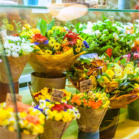 оборудование для цвтеочного магазина